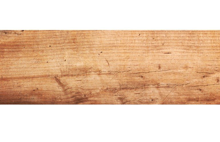 Ist Holz unhygienisch? | COMNATA Esstisch informiert!